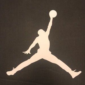 Air Jordan’s size 11 Retro Low